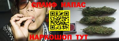 шишки Будённовск